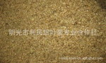 甜叶菊种子 15212039900