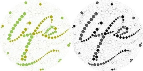 事实上,在丹麦,只有10%的男性和0.5%的女性是色盲症患者。这个广告不大可能是专门针对这部分人群的。那为什么要推出一个只有色盲症患者才能看懂的广告呢?为可口可乐策划这次广告的Essencius公司解释说,他们希望借助这种广告形式和图中的隐藏字母激发人们的好奇心,提高参与度,让更多的人参与进来,并愿意去了解Coca Cola Life这款饮料。